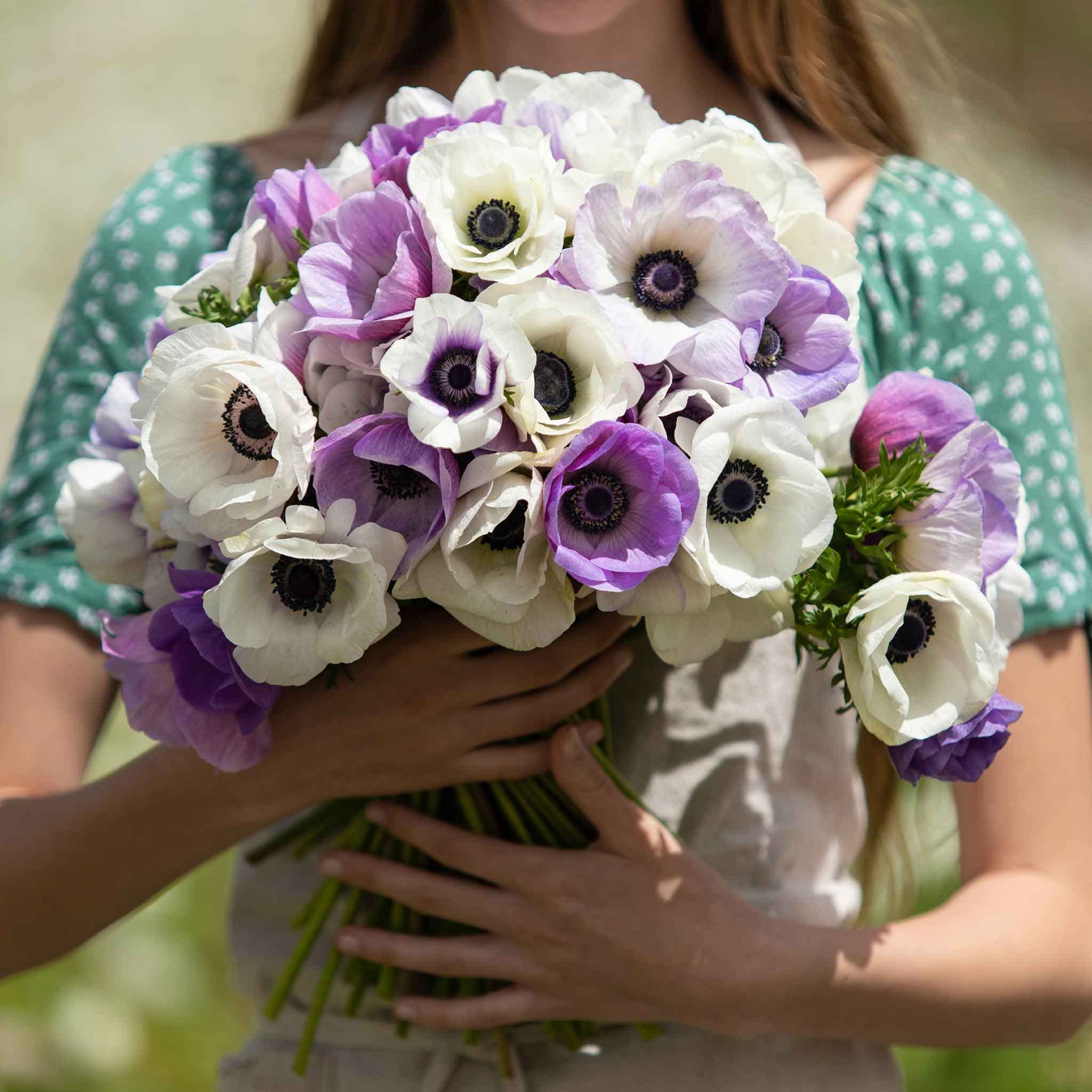 Flower Bulbs