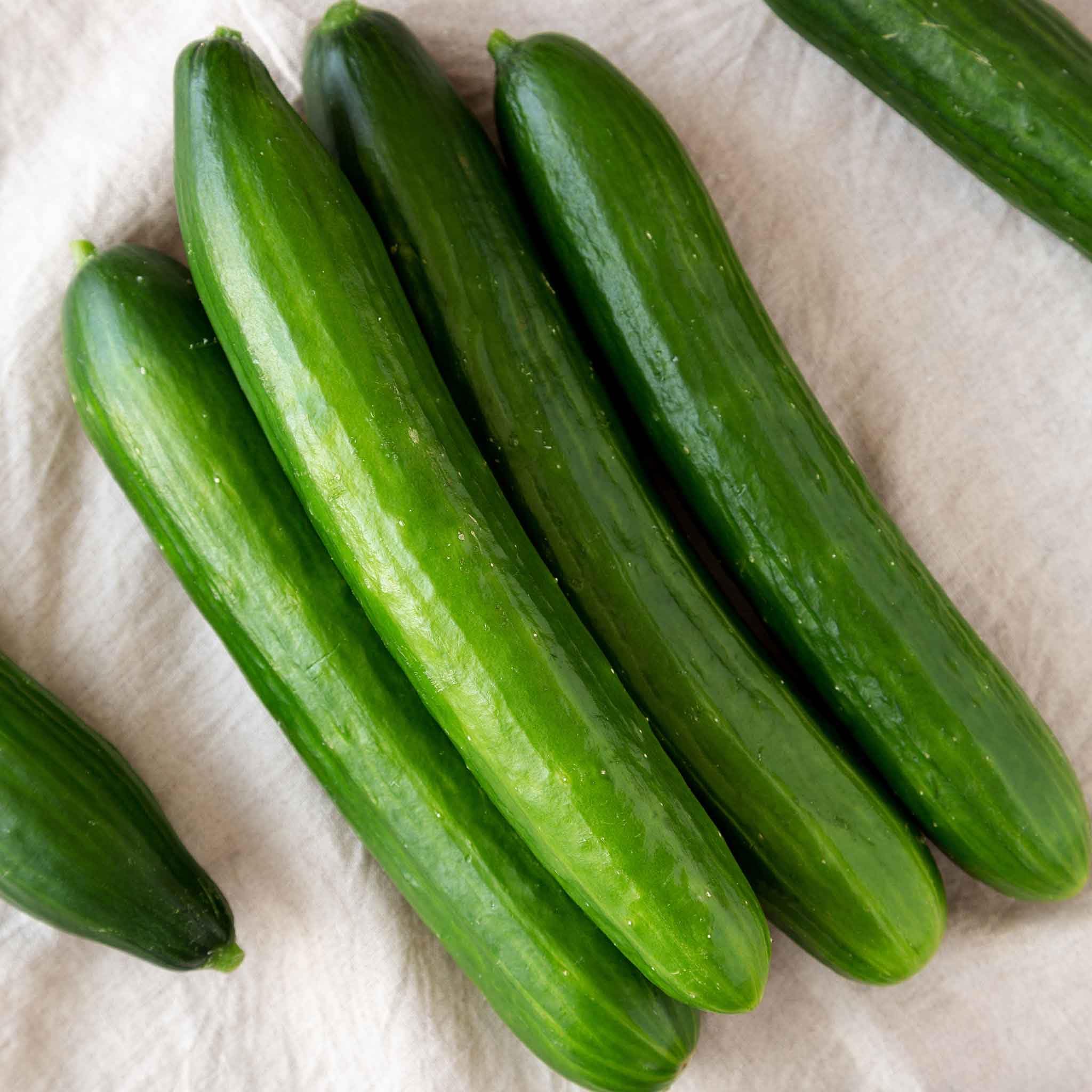 Vegetable Seeds