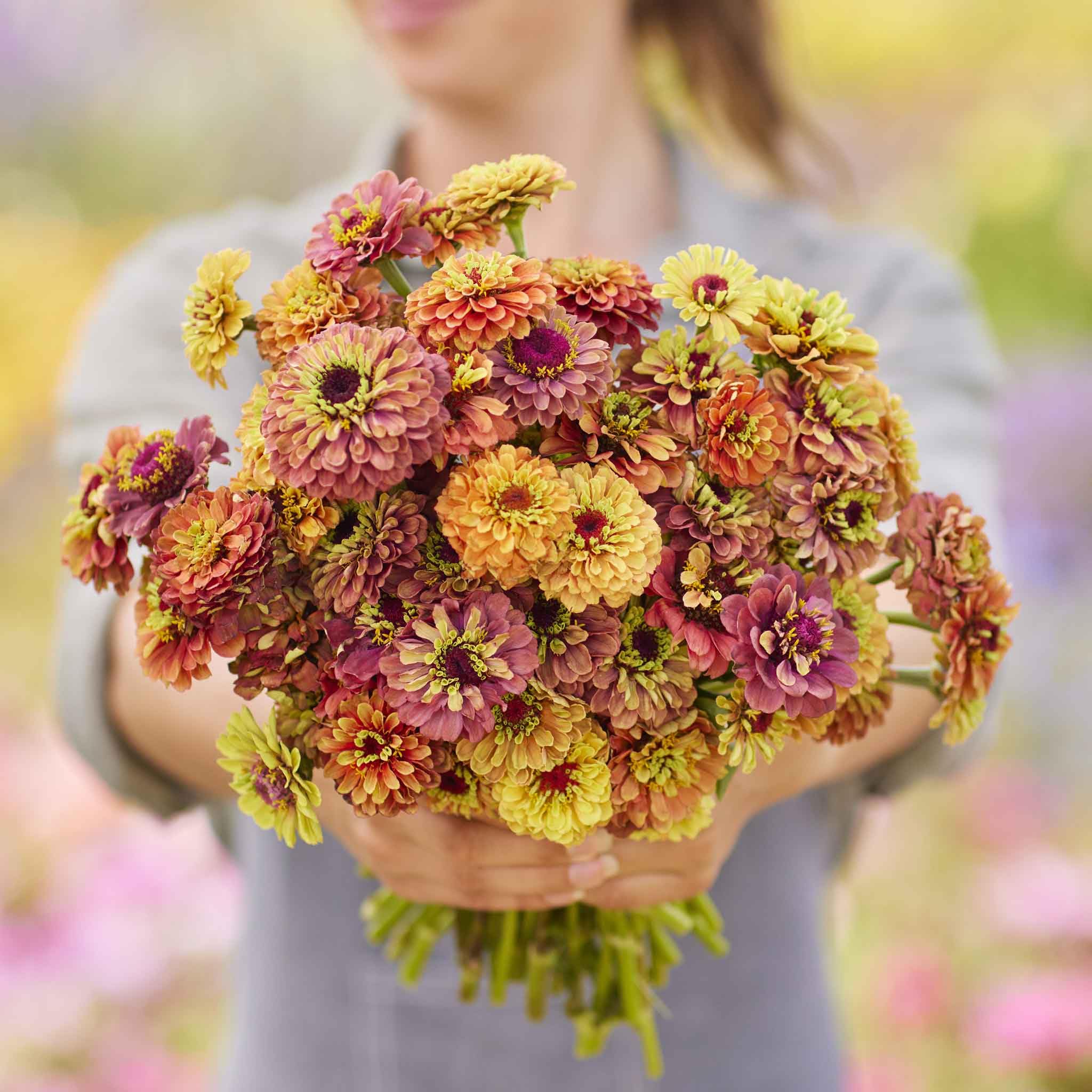 Flower Seeds